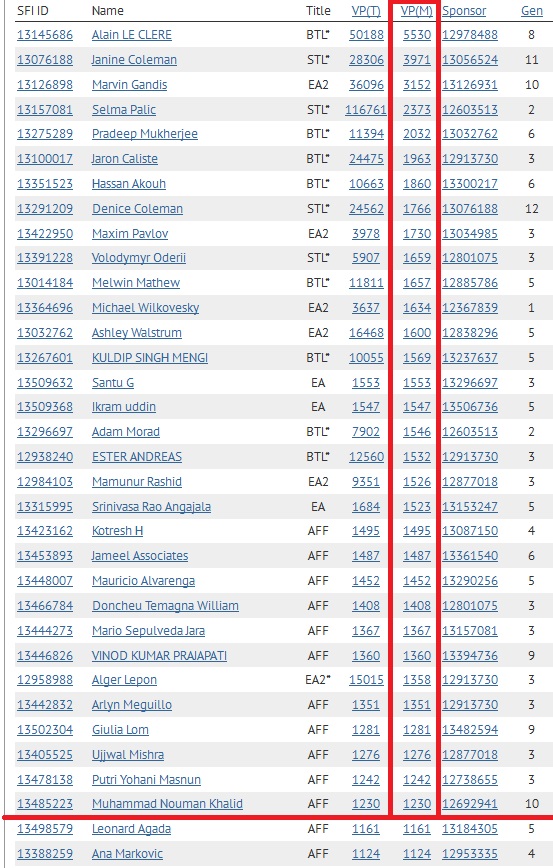 SFI Top 30 VPs December 1st 2013